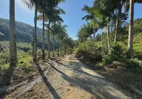 Foto 1 de Fazenda/Sítio com 1 Quarto à venda, 214000m² em , São Pedro de Alcântara