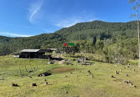 Foto 1 de Fazenda/Sítio com 3 Quartos à venda, 96m² em Gaspar Grande, Gaspar