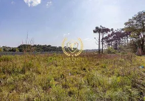 Foto 1 de Lote/Terreno à venda, 476m² em Rio Pequeno, São José dos Pinhais