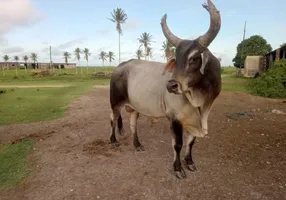 Foto 1 de Fazenda/Sítio à venda, 12000000m² em Centro, Linhares