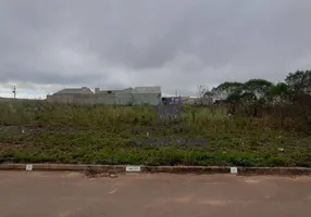 Foto 1 de Lote/Terreno à venda, 180m² em Barro Preto, São José dos Pinhais