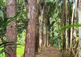 Foto 1 de Fazenda/Sítio com 3 Quartos à venda, 250m² em Pirabeiraba Centro, Joinville