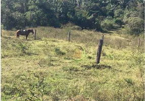 Foto 1 de Fazenda/Sítio à venda, 2080000m² em Zona Rural, Jaciara