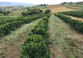 Foto 1 de Fazenda/Sítio com 1 Quarto à venda, 169400m² em Zona Rural, Monte Santo de Minas