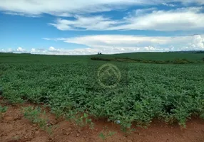 Foto 1 de Fazenda/Sítio à venda, 2250600m² em Centro, Guarapuava