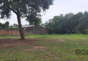 Foto 1 de Lote/Terreno à venda, 1999m² em Lageado, Porto Alegre