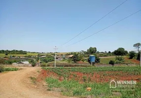 Foto 1 de Fazenda/Sítio com 2 Quartos à venda, 6000m² em Zona Rural, Marialva