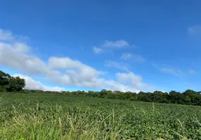 Foto 1 de Fazenda/Sítio à venda, 2m² em , Novo Planalto