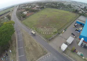 Foto 1 de Lote/Terreno para venda ou aluguel, 26800m² em Bairro da Lagoa, Americana