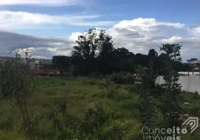 Foto 1 de Lote/Terreno à venda, 462m² em Órfãs, Ponta Grossa