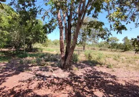 Foto 1 de Fazenda/Sítio com 1 Quarto à venda, 15000m² em Centro Sul, Várzea Grande