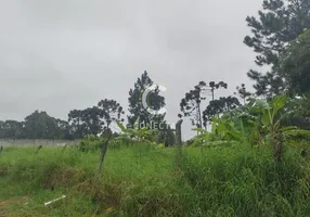 Foto 1 de Lote/Terreno à venda, 1900m² em Roseira, São José dos Pinhais