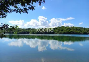 Foto 1 de Fazenda/Sítio com 2 Quartos à venda, 2934m² em Martinesia, Uberlândia