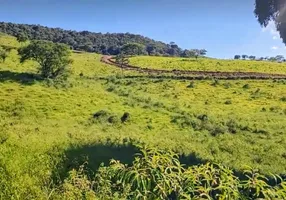 Foto 1 de Lote/Terreno à venda, 20000m² em , Cambuí