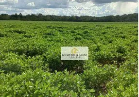 Foto 1 de Fazenda/Sítio com 10 Quartos à venda, 800m² em Setor Central, Araguaína