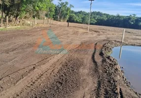 Foto 1 de Fazenda/Sítio com 1 Quarto à venda, 1200m² em , Ipiranga