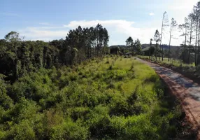 Foto 1 de Lote/Terreno à venda em Vargem do Salto, Ibiúna