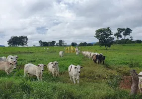 Foto 1 de Fazenda/Sítio com 4 Quartos à venda, 4120000m² em Centro, Dom Aquino