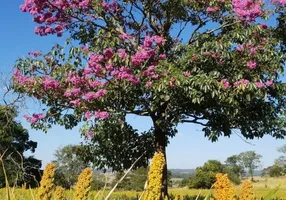 Foto 1 de Fazenda/Sítio com 2 Quartos à venda, 270000m² em Centro, Bela Vista de Goiás