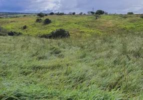 Foto 1 de Fazenda/Sítio com 3 Quartos à venda, 20000m² em Monte Alegre, Monte Alegre