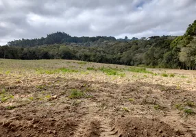 Foto 1 de Fazenda/Sítio com 1 Quarto à venda, 35000m² em Roça Velha, São José dos Pinhais