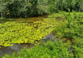 Foto 1 de Fazenda/Sítio à venda, 160000m² em Muriú, Ceará Mirim