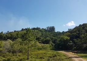 Foto 1 de Lote/Terreno à venda em , Rodeio