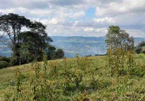 Foto 1 de Fazenda/Sítio à venda, 50000m² em Centro, Alfredo Wagner