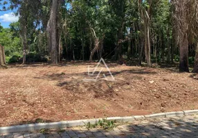 Foto 1 de Lote/Terreno à venda em Lucas Araújo, Passo Fundo