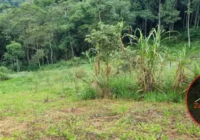 Foto 1 de Lote/Terreno à venda, 5000m² em Sabaúna, Mogi das Cruzes
