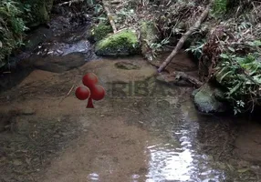 Foto 1 de Fazenda/Sítio com 1 Quarto à venda, 12600m² em Mato Preto, Lapa