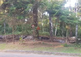 Foto 1 de Lote/Terreno à venda, 1438m² em Morro do Elefante, Campos do Jordão