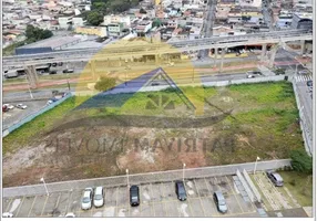 Foto 1 de Lote/Terreno para alugar, 5200m² em Vila Prudente, São Paulo