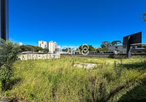 Foto 1 de Lote/Terreno para alugar, 375m² em Bacacheri, Curitiba