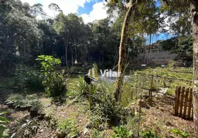 Foto 1 de Fazenda/Sítio com 1 Quarto à venda, 4000m² em Planta São Tiago, Piraquara