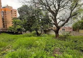 Foto 1 de Lote/Terreno à venda, 981m² em Jardim Guedala, São Paulo