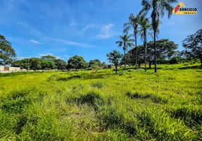 Foto 1 de Lote/Terreno à venda, 8750m² em Quinta das Palmeiras, Divinópolis