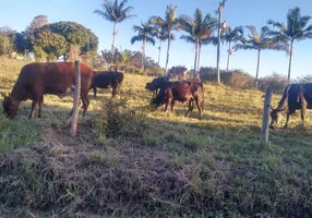 Foto 1 de Fazenda/Sítio com 2 Quartos à venda, 550000m² em Zona Rural, Pariquera-Açu