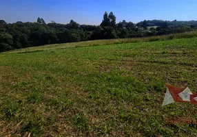 Foto 1 de Fazenda/Sítio com 1 Quarto à venda, 60000m² em Campo Largo da Roseira, São José dos Pinhais