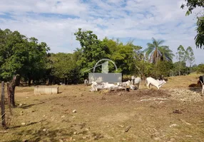 Foto 1 de Fazenda/Sítio à venda, 100000m² em Zona Rural, Jequitibá