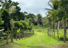 Foto 1 de Fazenda/Sítio com 2 Quartos à venda, 270000m² em Iguape, Ilhéus