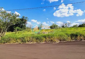 Foto 1 de Lote/Terreno à venda, 400m² em Area Rural de Engenheiro Coelho, Engenheiro Coelho