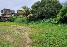 Foto 1 de Lote/Terreno para alugar, 6000m² em Coqueiro, Ananindeua