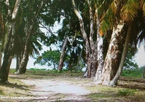 Foto 1 de Fazenda/Sítio com 3 Quartos à venda, 170000000m² em Extremoz, Extremoz