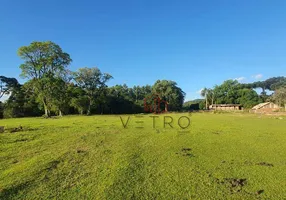 Foto 1 de Fazenda/Sítio com 4 Quartos à venda, 240000m² em Vale das Colinas, Gramado