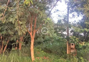 Foto 1 de Lote/Terreno à venda, 700m² em Loteamento Caminhos de San Conrado, Campinas