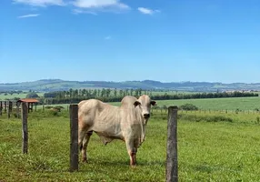 Foto 1 de Fazenda/Sítio com 4 Quartos à venda, 120m² em Zona Rural, Tambaú