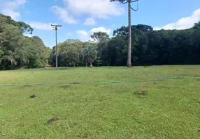 Foto 1 de Fazenda/Sítio com 1 Quarto à venda, 20000m² em Campo Largo da Roseira, São José dos Pinhais