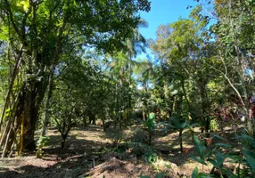 Foto 1 de Lote/Terreno à venda, 1300m² em Sertao do Piavu, São Sebastião