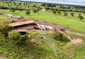 Foto 1 de Fazenda/Sítio com 2 Quartos à venda, 7937600m² em Centro, Filadélfia